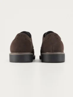 New BLUCHER PICADO MARRÓN Hombre Vestir