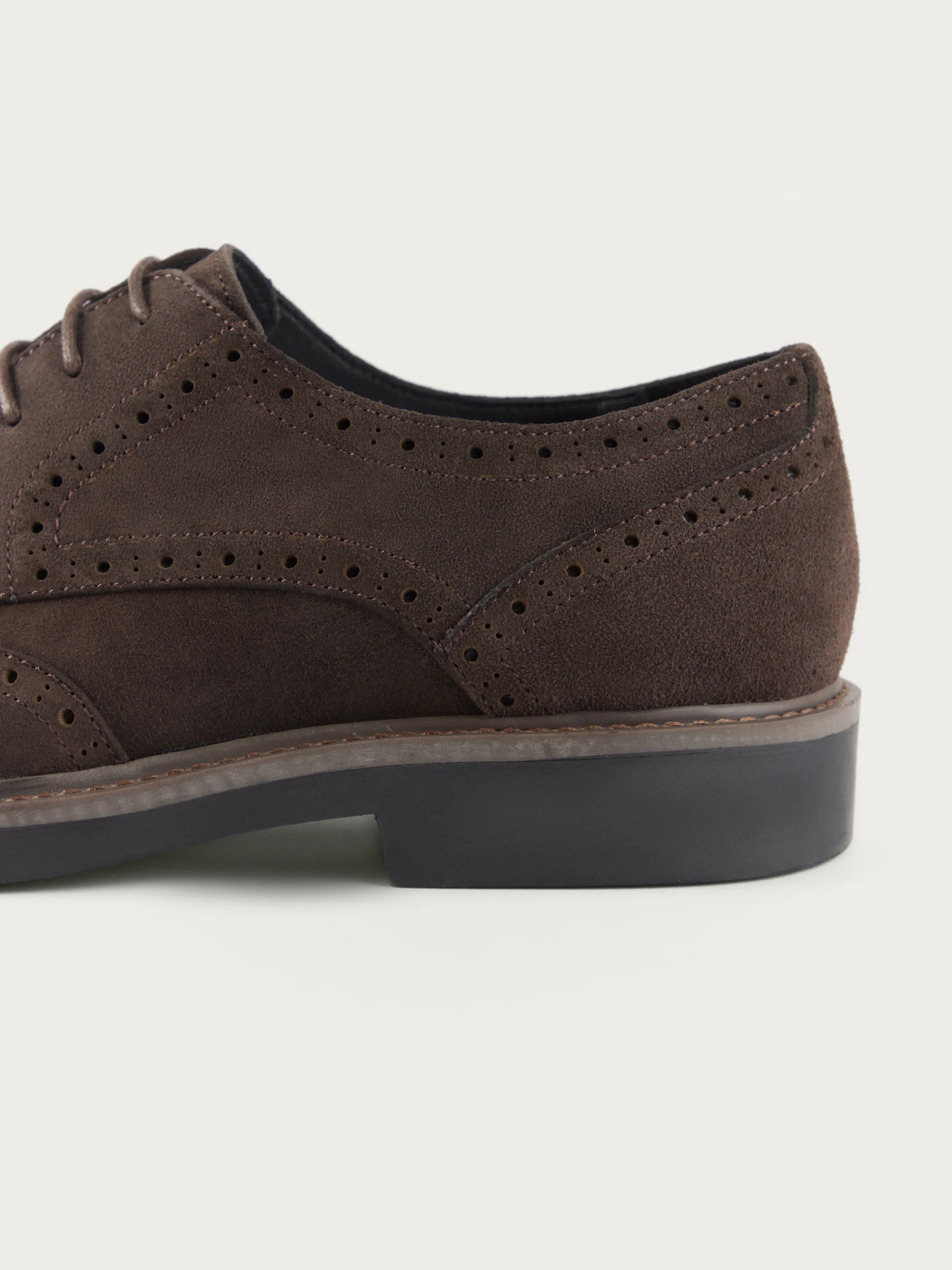New BLUCHER PICADO MARRÓN Hombre Vestir