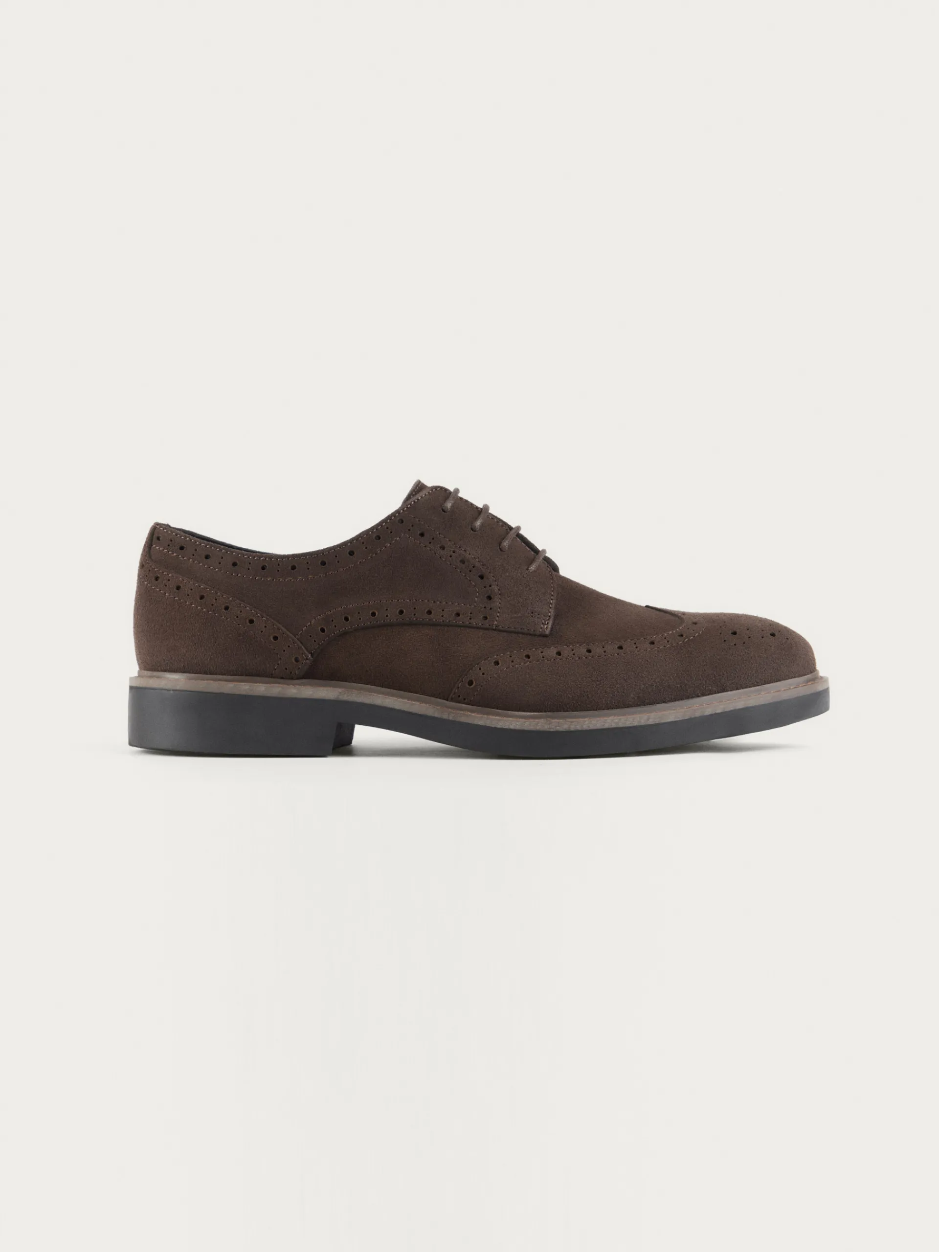 New BLUCHER PICADO MARRÓN Hombre Vestir