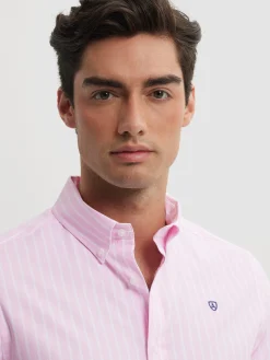 Sale CAMISA RAYAS DUTTON Hombre Casual
