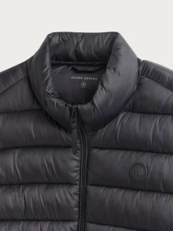 Best CAZADORA JIM Hombre Cazadoras Y Parkas