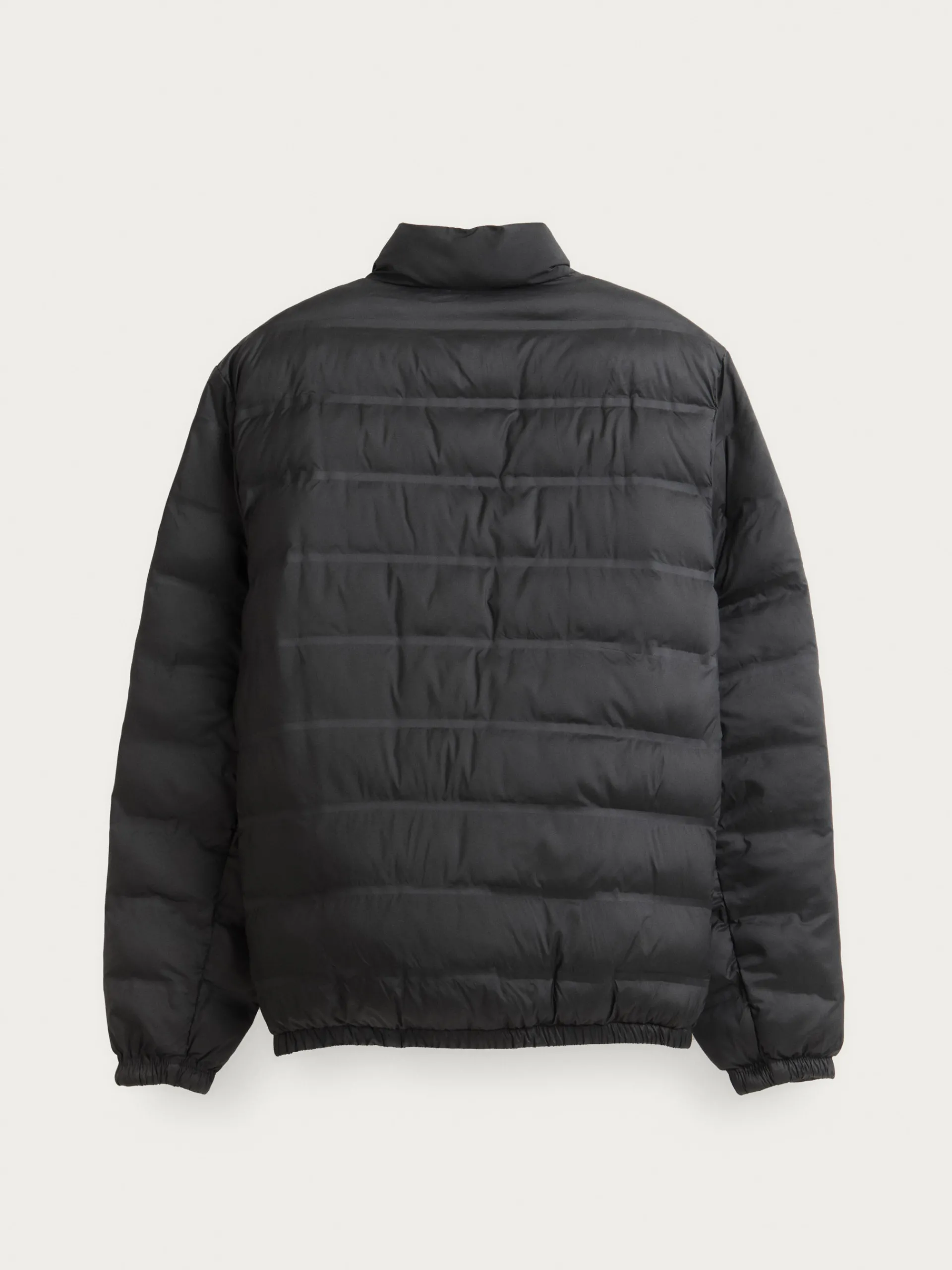Clearance CAZADORA MONTREAL Hombre Cazadoras Y Parkas