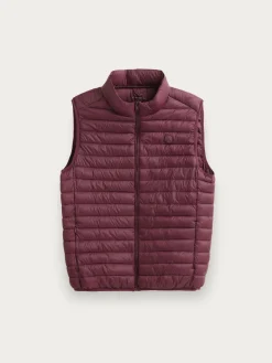 Discount CHALECO NIRO Hombre Chalecos