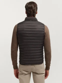 Best CHALECO NIRO MARRÓN Hombre Chalecos