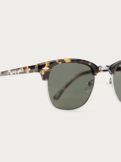 Clearance GAFAS MASTER MARRÓN Hombre Gafas De Sol