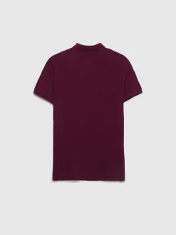 POLO BASIC Hombre Polos Y Poleras